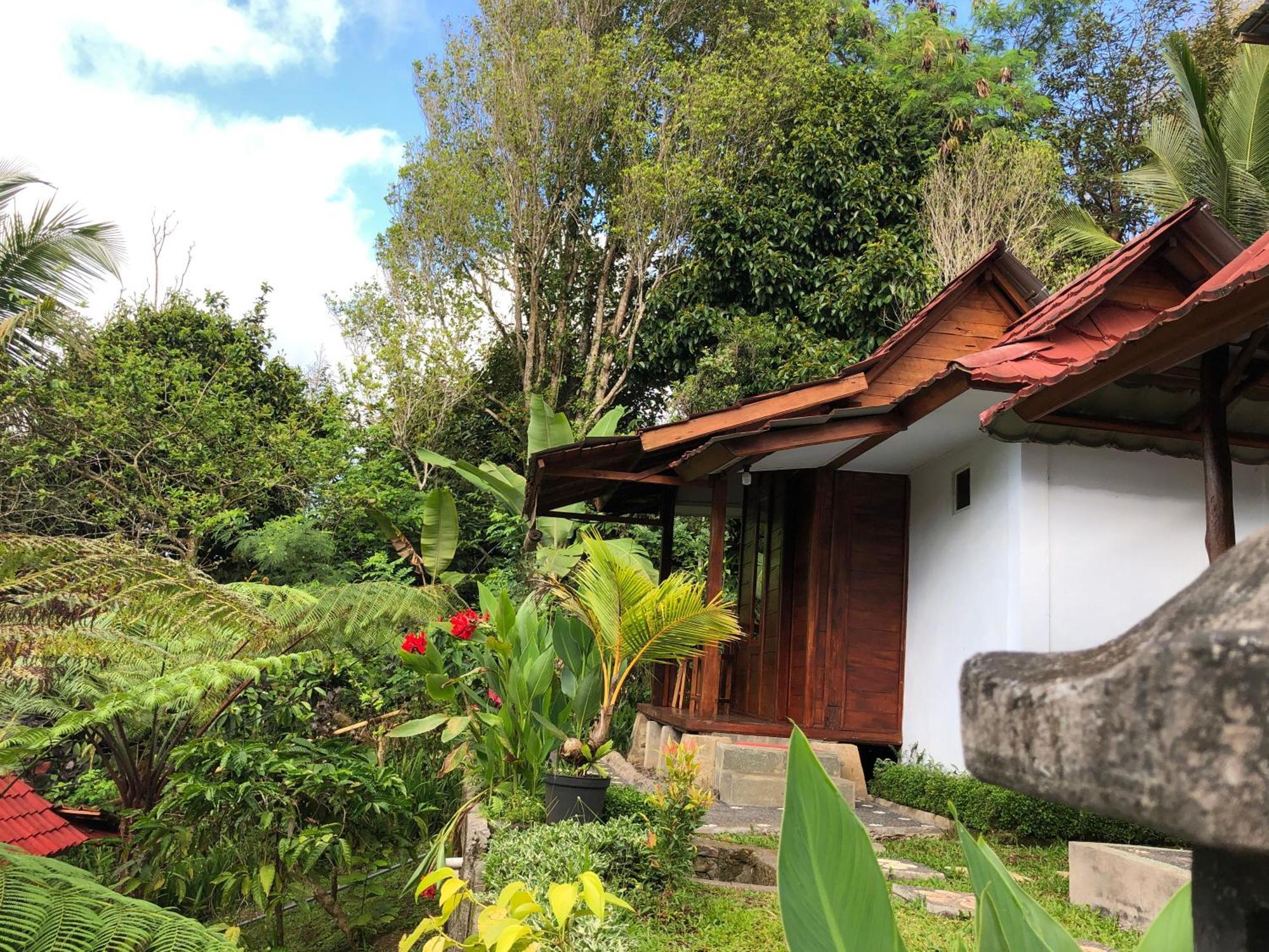 Sedana Yoga Resort Jembrana Esterno foto